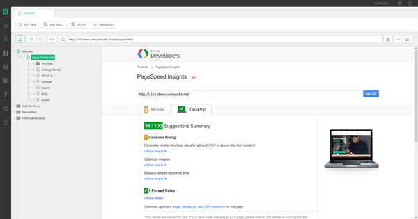 Google PageSpeed Insights View